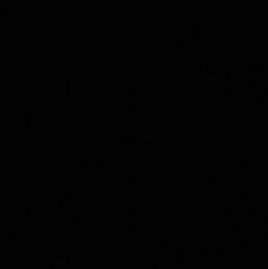 Meet your Posher, Bill